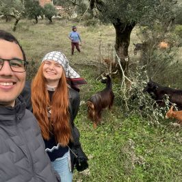 Walking with Goats & Cheese Experience