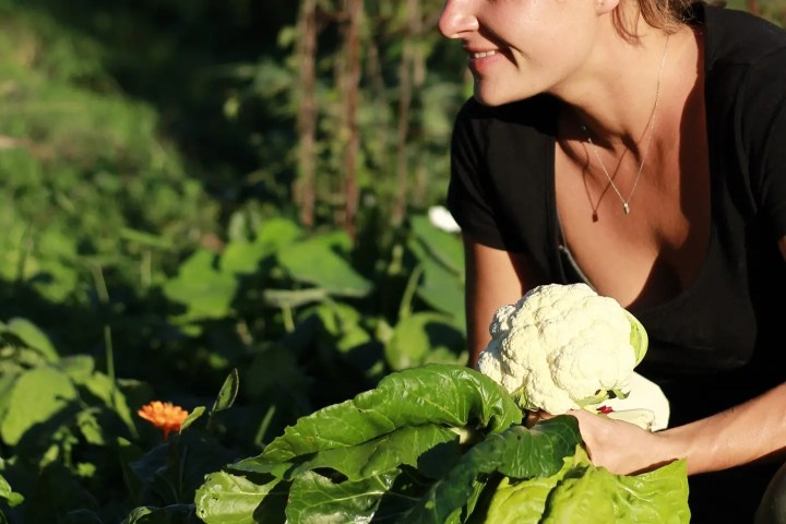 alentejo permaculture tour