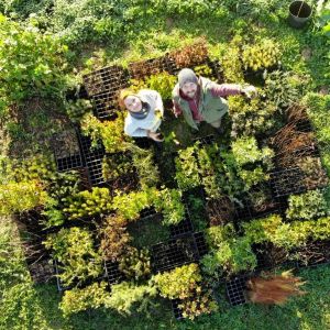alentejo permaculture tour