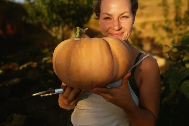 alentejo permaculture tour