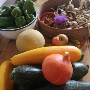 alentejo permaculture tour