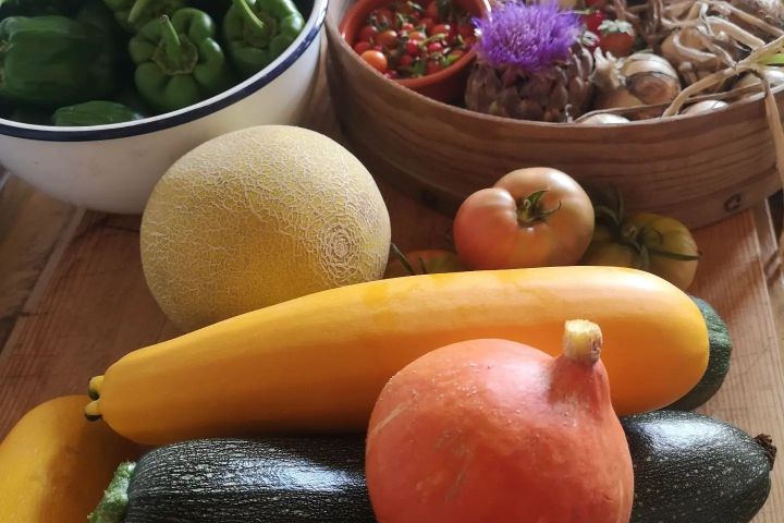 alentejo permaculture tour