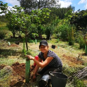 alentejo permaculture tour