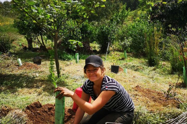 alentejo permaculture tour