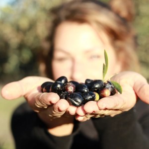 alentejo permaculture tour