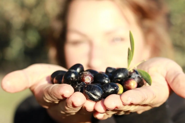 alentejo permaculture tour