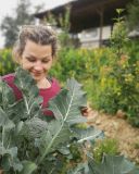 alentejo permaculture tour