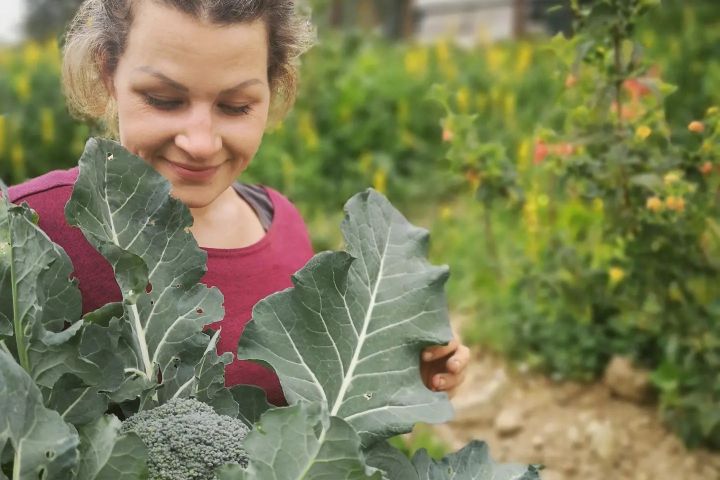 alentejo permaculture tour