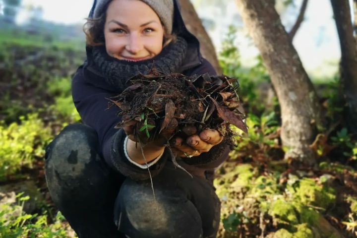 alentejo permaculture tour