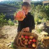 alentejo permaculture tour