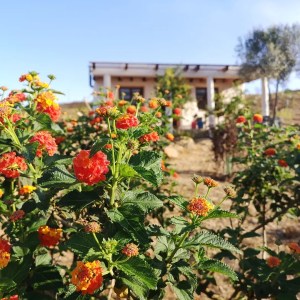 alentejo permaculture tour