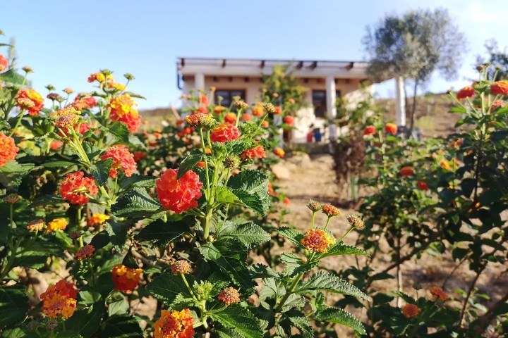 alentejo permaculture tour