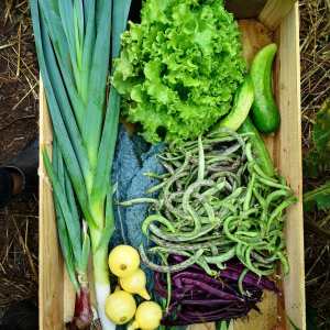 alentejo permaculture tour