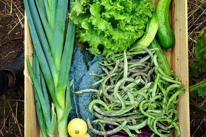 alentejo permaculture tour