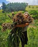 alentejo permaculture tour