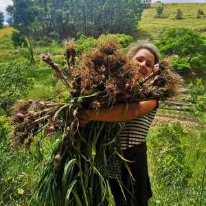 alentejo permaculture tour