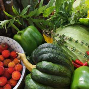 alentejo permaculture tour