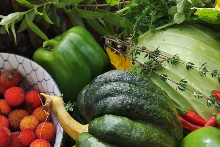 alentejo permaculture tour