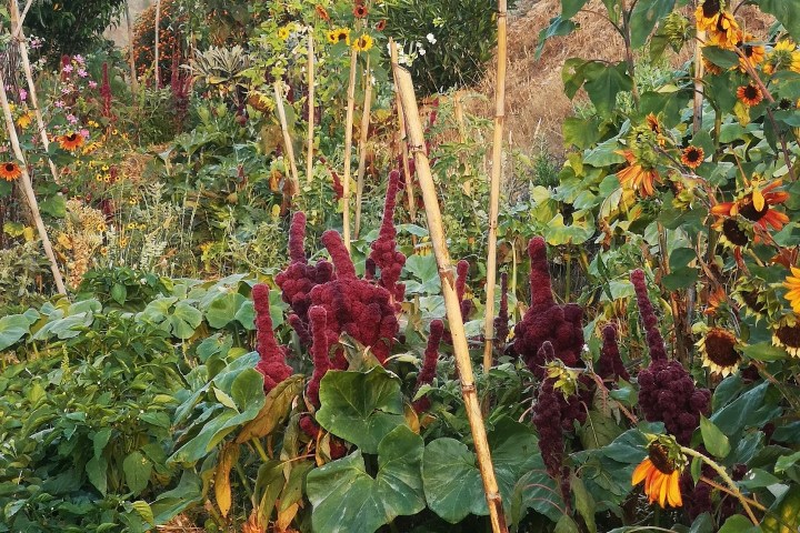 alentejo permaculture tour