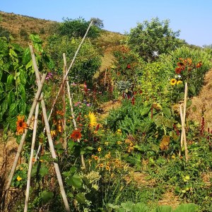 alentejo permaculture tour