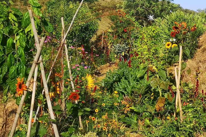 alentejo permaculture tour