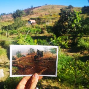 alentejo permaculture tour