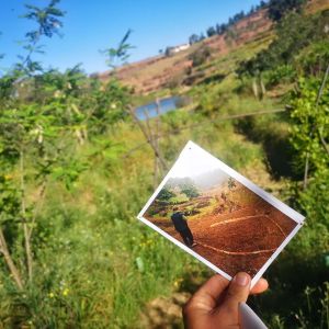 alentejo permaculture tour