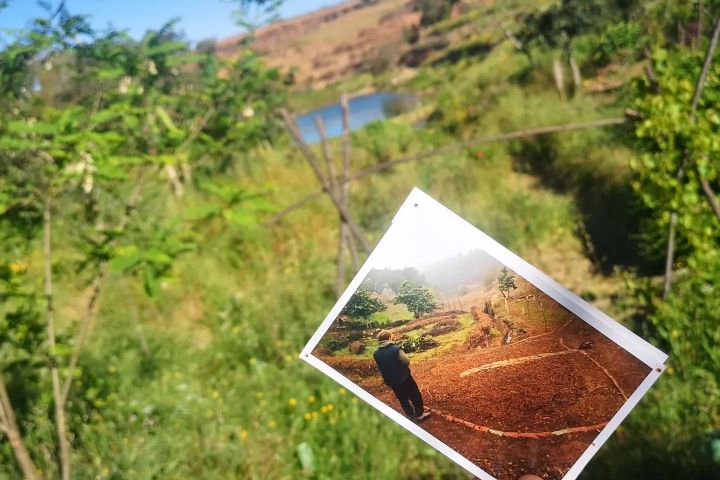 alentejo permaculture tour