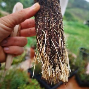 alentejo permaculture tour