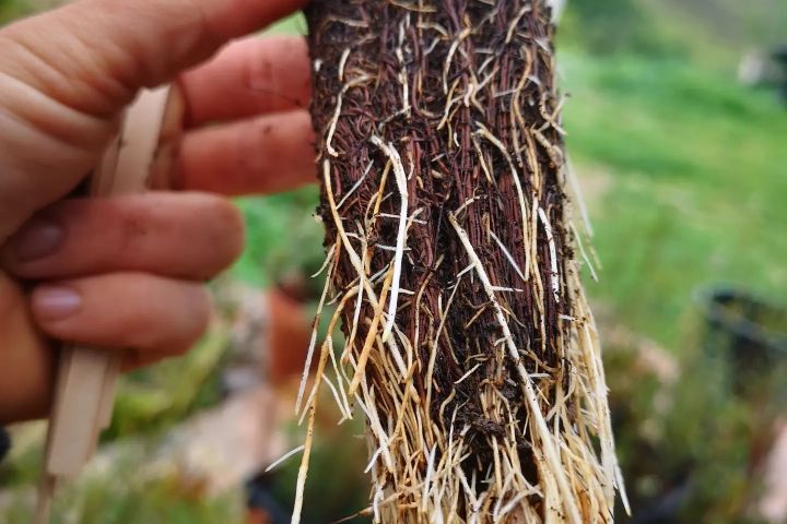 alentejo permaculture tour