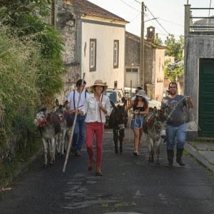 donkey tour azores