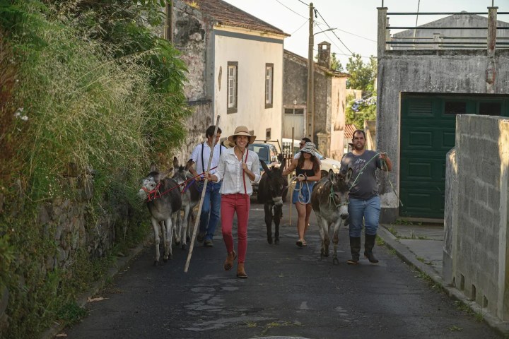 donkey tour azores