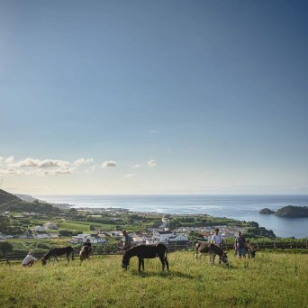 donkey tour azores