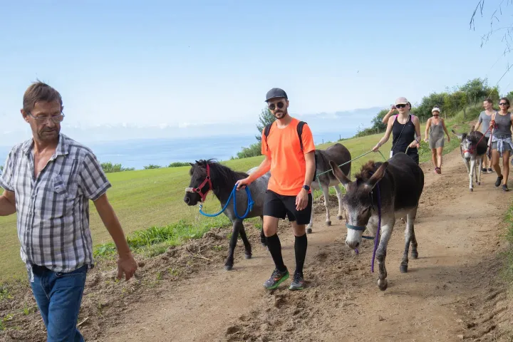 donkey tour azores