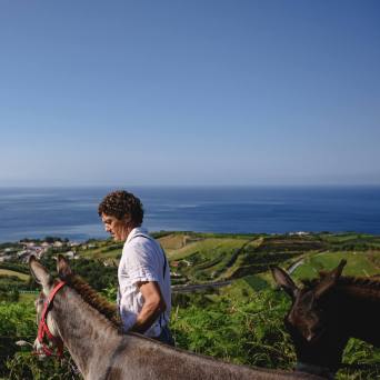 donkey tour azores