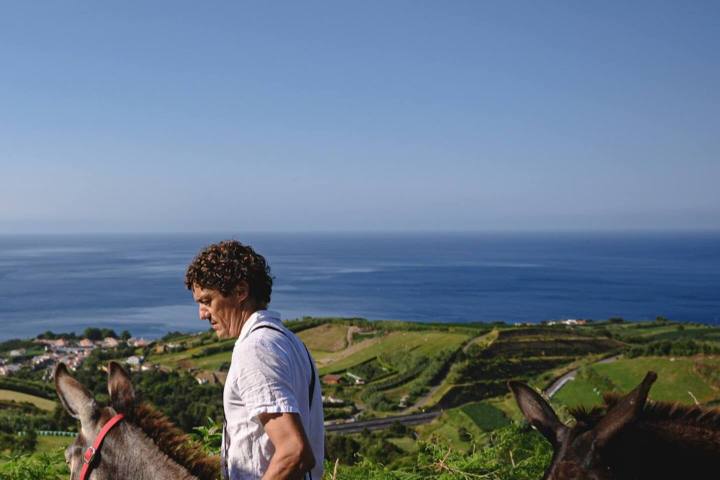 donkey tour azores