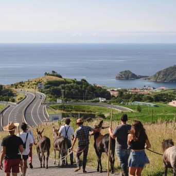 donkey tour azores