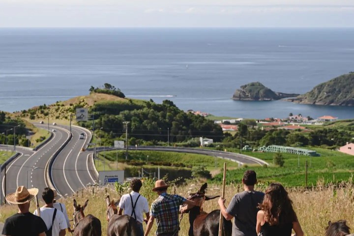 donkey tour azores