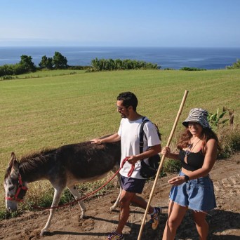 donkey tour azores