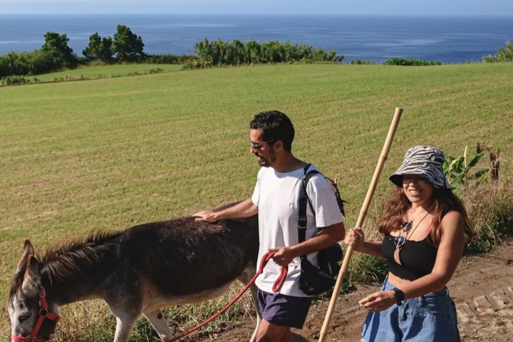 donkey tour azores