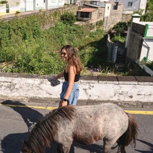 donkey tour azores