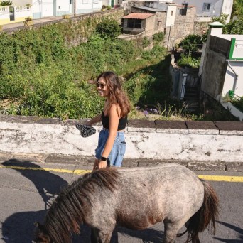 donkey tour azores