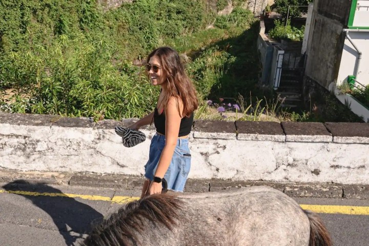 donkey tour azores