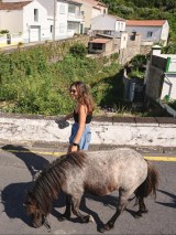 donkey tour azores