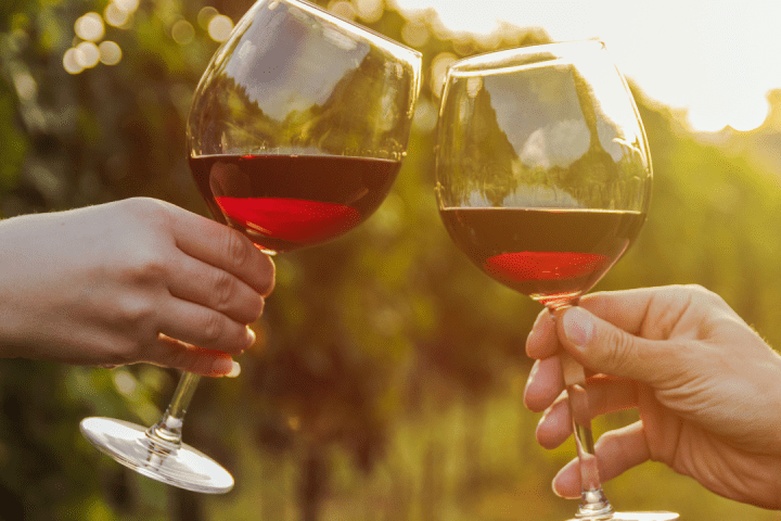 a hand holding a glass of wine
