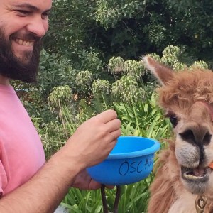 Alpaca Farm Experience