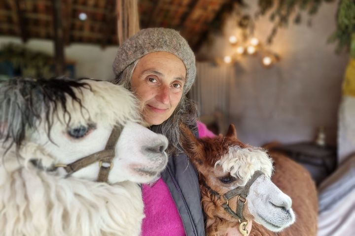 Alpaca Farm Experience