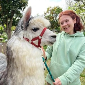 Alpaca Farm Experience