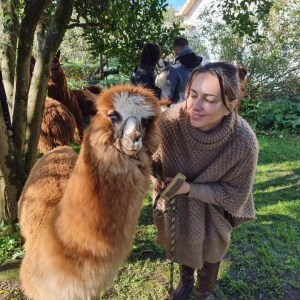 Alpaca Farm Experience