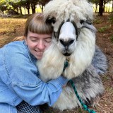 Alpaca Farm Experience